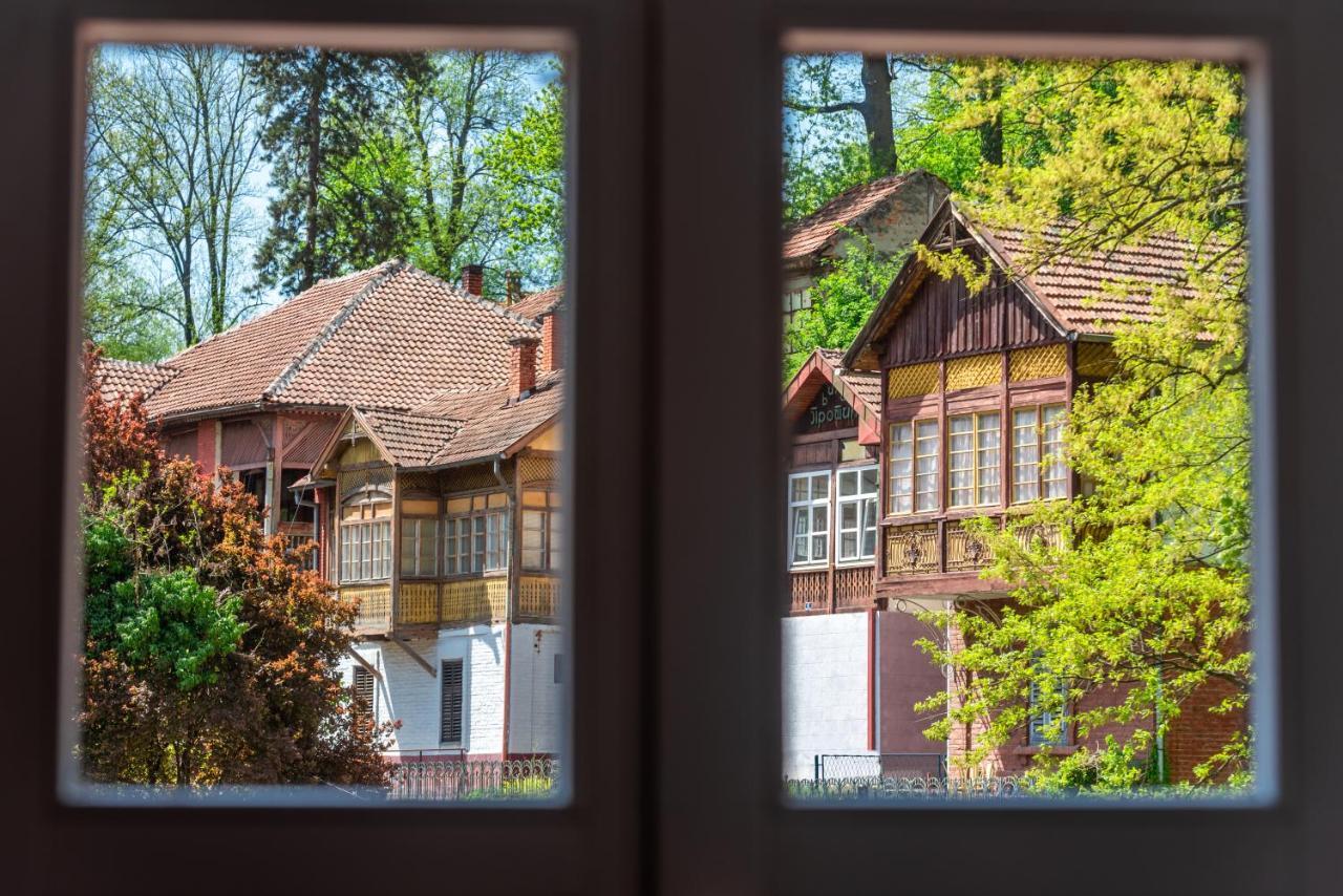 Vila Emilia Vrnjačka Banja Zewnętrze zdjęcie
